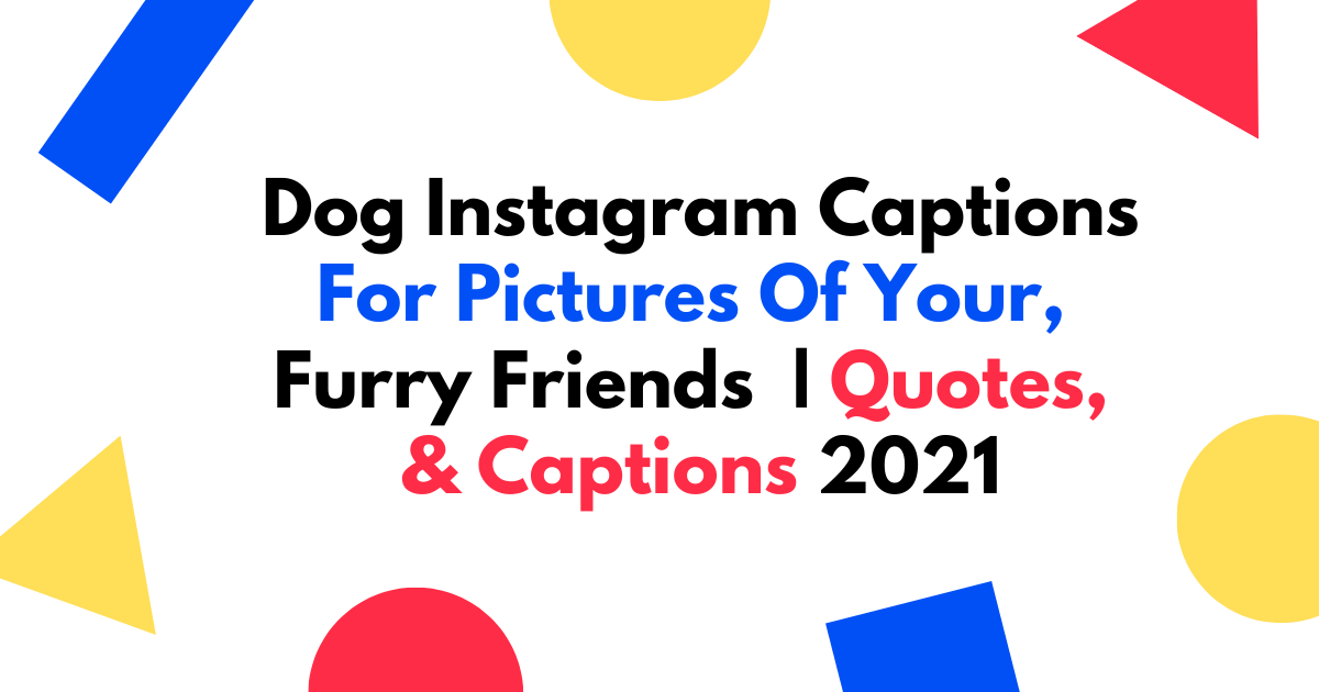 Dog Instagram Captions for Pictures of Your Furry Friends