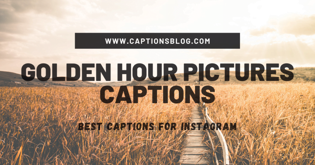Golden Hour Pictures Captions